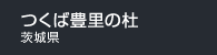 つくば豊里の杜